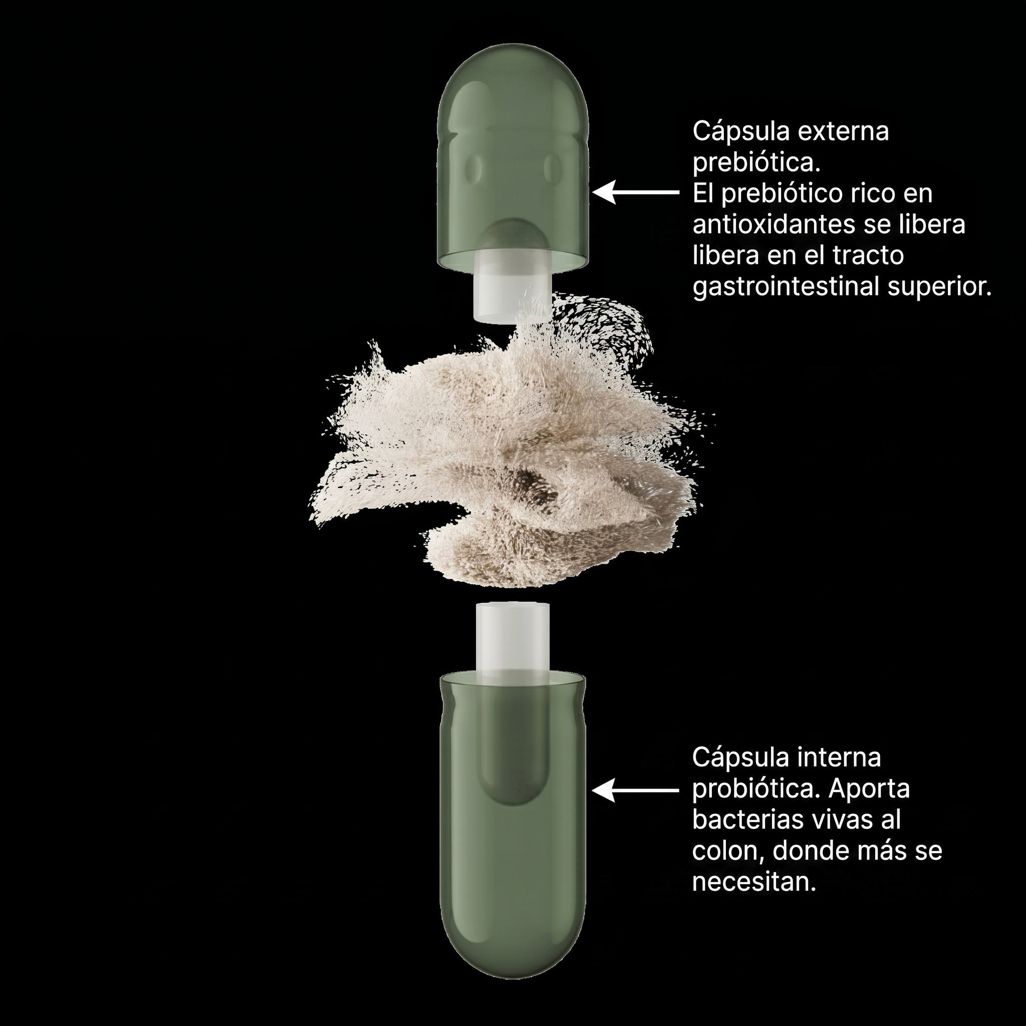 Garant&iacute;a NexoLab